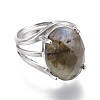 Adjustable Faceted Natural Labradorite Finger Rings RJEW-I068-B04-1-2