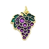 Brass Enamel Pendants KK-U066-05B-G-1