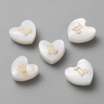 5Pcs Natural White Shell Beads BSHE-TAC0004-02L-1