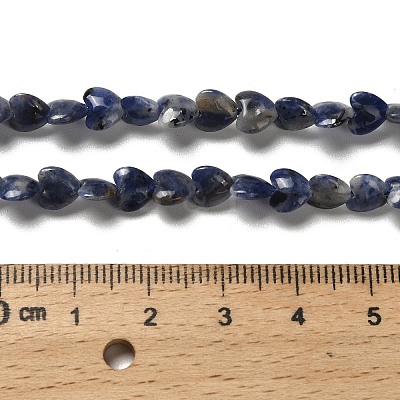 Natural Sodalite Beads Strands G-P575-C15-6mm-1
