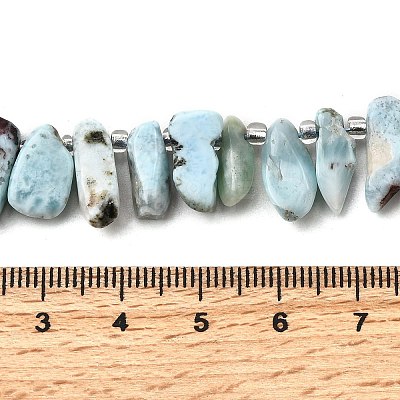 Natural Larimar Beads Strands G-Z091-A09-1