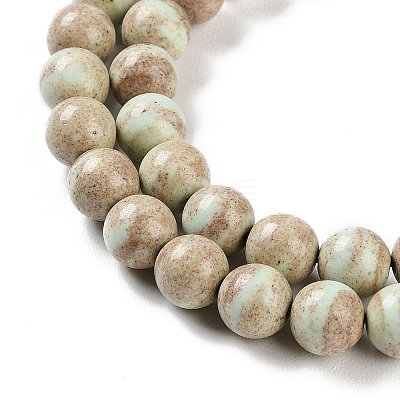 Natural Rainbow Alashan Agate Beads Strands G-NH0022-A08-02-1