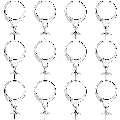 40Pcs 304 Stainless Steel Leverback Earring Findings STAS-SC0006-49-1