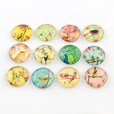 Half Round/Dome Bird Pattern Glass Flatback Cabochons for DIY Projects X-GGLA-Q037-25mm-M07-1