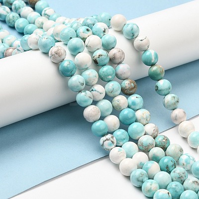 Natural Magnesite Beads Strands G-L555-02C-02-1