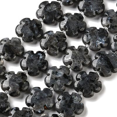 Natural Larvikite Beads Strands G-L241A-21-1