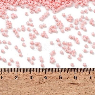 Baking Paint Glass Seed Beads X-SEED-S042-05B-85-1
