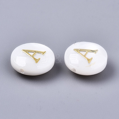 Natural Freshwater Shell Beads SHEL-S266-12A-1