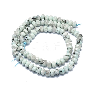 Natural Sesame Jasper Beads Strands G-F715-094-1