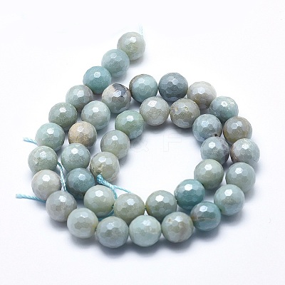 Natural Amazonite Beads Strands G-O164-02-12mm-1