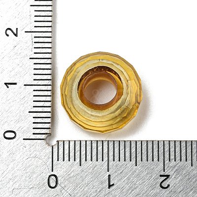 Glass European Beads GLAA-XCP0001-43D-1