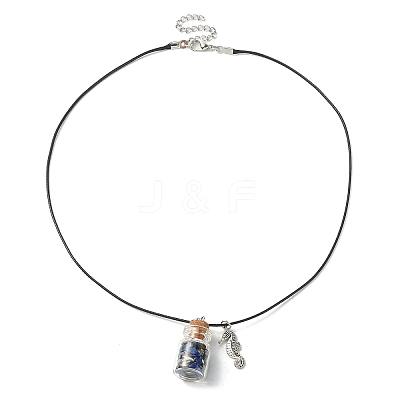 Glass Bottle & Alloy Sea Horse Pendant Necklace NJEW-FZ00014-1