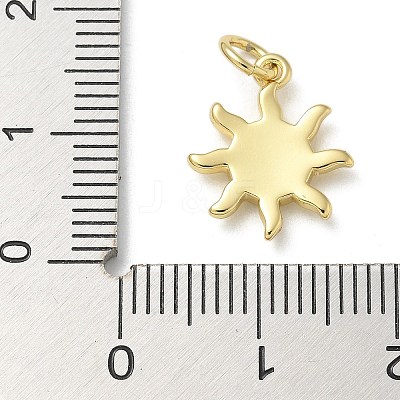 Rack Plating Brass Enamel Charms KK-K392-50G-04-1