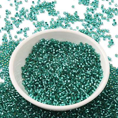 Glass Seed Beads X-SEED-S042-04B-29-1