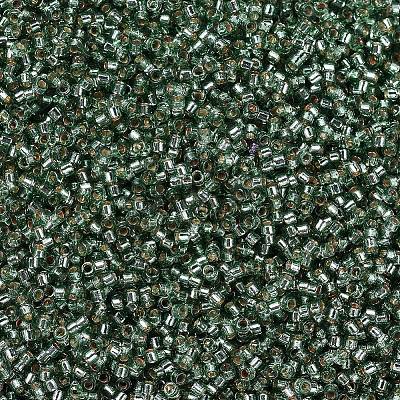 MIYUKI Delica Beads SEED-MY11-DB2165-1