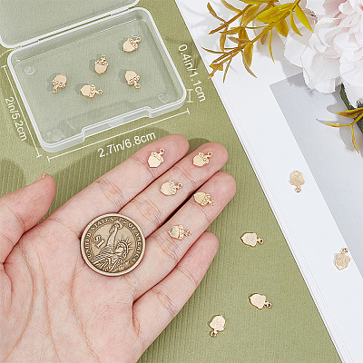 20Pcs Autumn Theme Brass Charms KK-BBC0014-61-1