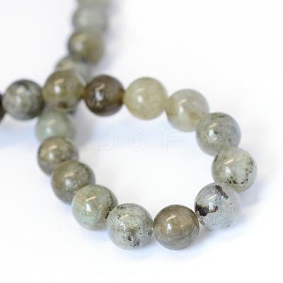 Natural Labradorite Round Bead Strands G-E334-8mm-19-1
