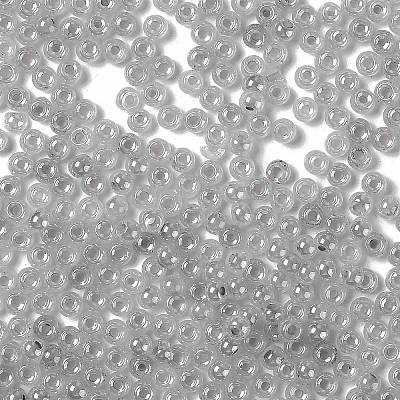 Glass Seed Beads SEED-H002-E-A1420-1
