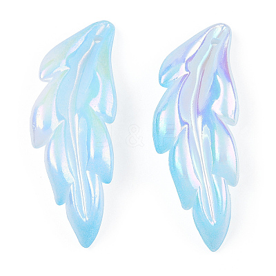 Transparent Acrylic Pendants TACR-TAC0005-03B-1