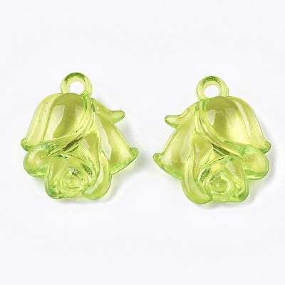 Transparent Acrylic Pendants TACR-S133-081-1