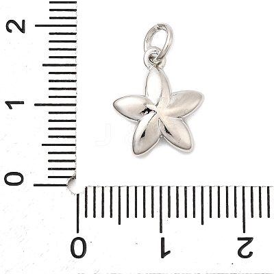 Brass Charms KK-C139-31D-P-1