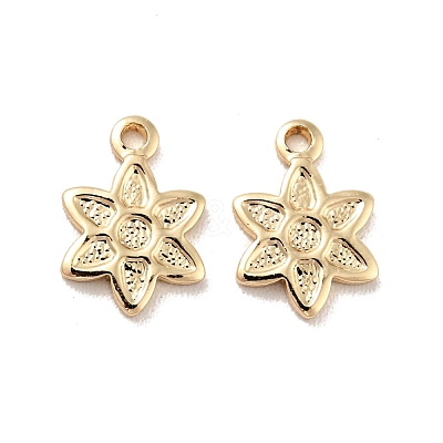 Rack Plating Brass Charms KK-D083-21G-1