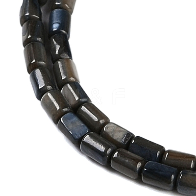 Natural Freshwater Shell Beads Strands BSHE-H109-17E-1