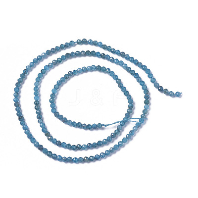 Natural Apatite Beads Strands G-F596-29-2mm-1