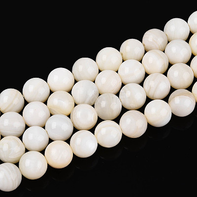 Natural Freshwater Shell Beads Strands X-SHEL-N038-05-1