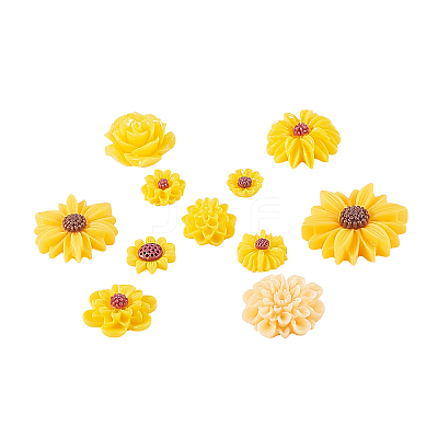 Resin Cabochons CRES-CJC0005-01B-1