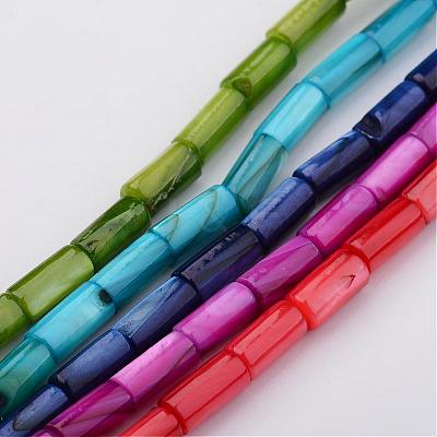 Natural Shell Bead Strands BSHE-P016-M-1