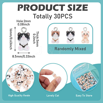 30Pcs Opaque Resin Pendants RESI-TA0004-94-1
