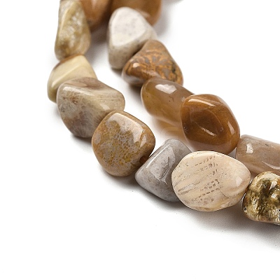 Natural Fossil Coral Beads Strands G-P497-01E-36-1