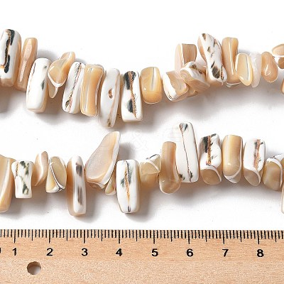 Dyed Natural Trochus Shell Beads Strands SSHEL-C013-09K-1