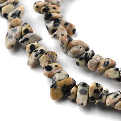 Natural Dalmatian Jasper Beads Strands G-G0003-B29-1