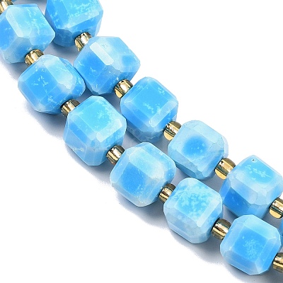 Natural Howlite Beads Strands G-C025-01B-1