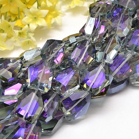 Half Rainbow Plated Faceted Polygon Glass Bead Strands X-EGLA-J087-07-1