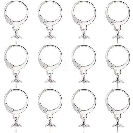 SUNNYCLUE 40Pcs 304 Stainless Steel Leverback Earring Findings STAS-SC0006-49-1