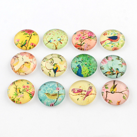 Half Round/Dome Bird Pattern Glass Flatback Cabochons for DIY Projects X-GGLA-Q037-25mm-M07-1
