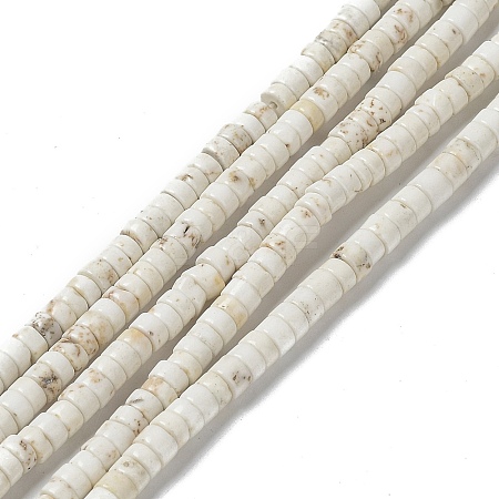 Natural Howlite Beads Strands X-G-E604-A01-B-1