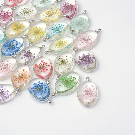 Oval Alloy Glass Pendants X-GLAA-Q050-20x30-06P-1
