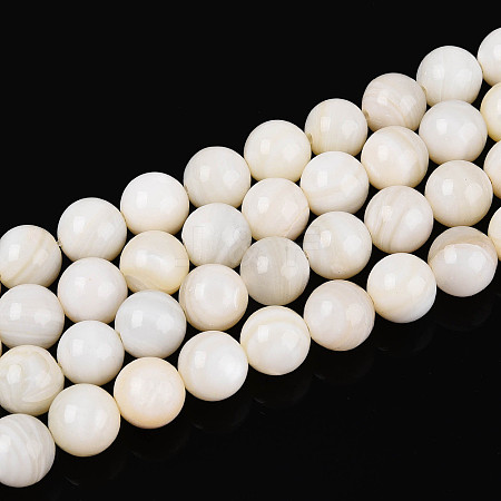 Natural Freshwater Shell Beads Strands X-SHEL-N038-05-1