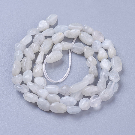 Natural White Moonstone Beads Strands G-P433-16-1