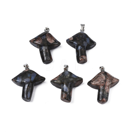 Natural Glaucophane Pendants G-R480-02J-1