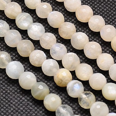 Natural White Moonstone Beads Strands G-G549-6mm-01-1