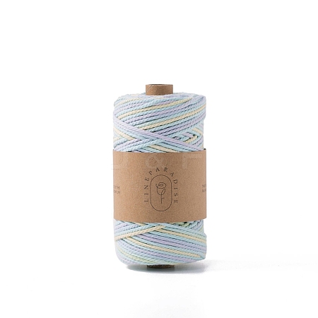 Gradient Color Cotton String Threads PW-WG54641-08-1