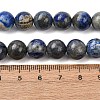 Natural Lapis Lazuli Round Bead Strands G-E262-01-10mm-3