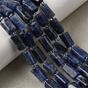 Natural Sodalite Beads Strands GG-CBA56E5-02-1