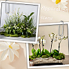 Polyester Artificial Moss DIY-CN0003-92A-7