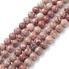 Natural Maifanite/Maifan Stone Beads Strands X-G-P451-01A-A-1
